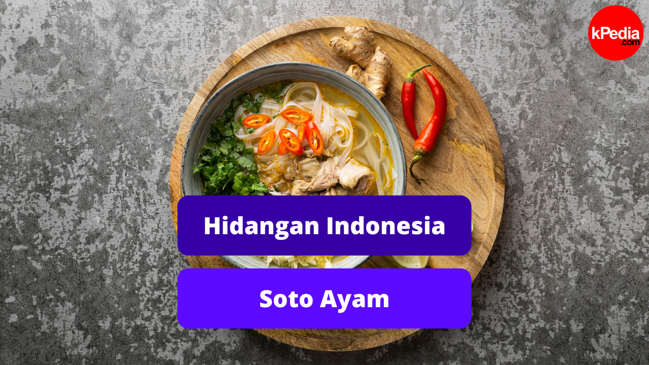 Berikut Ini Hidangan Soto Ayam Khas Indonesia
